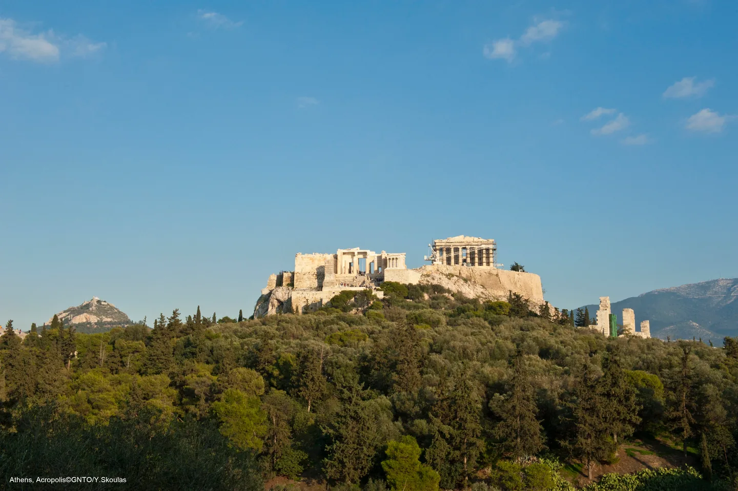 The Acropolis seen from across an olive grove